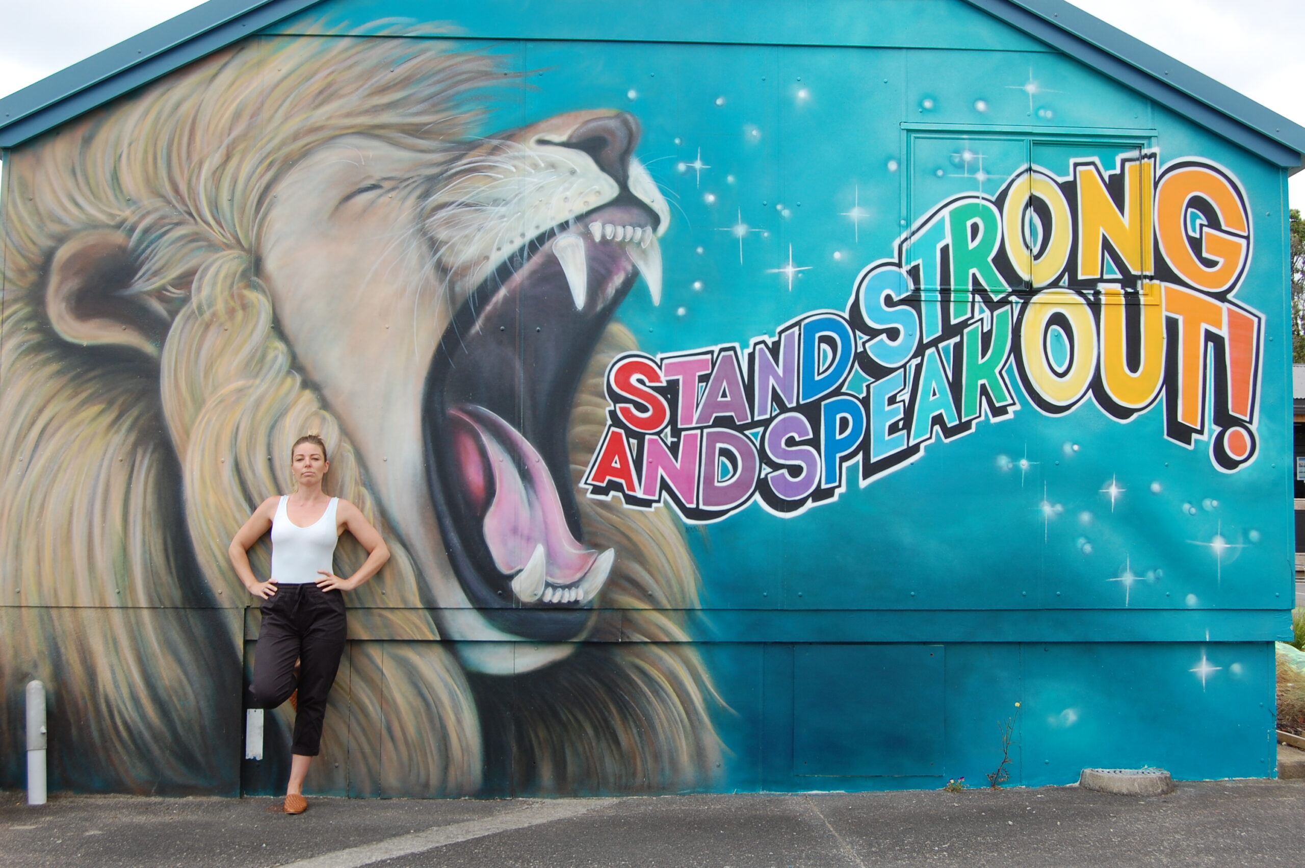 lion3